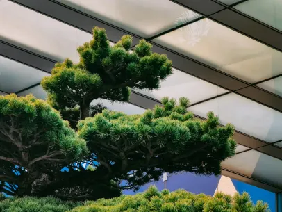 ArcaneBet Casino Mobilapp